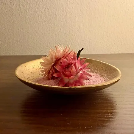 Perfectly Located Between Den Bosch & Apartament